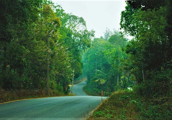 Ooty Coorg 3  day tour from Vellore